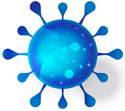 Знищення вірусів Київ Україна